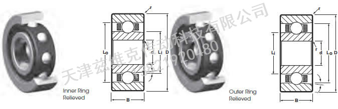 NHBB DSMDRI-418X 角接觸球軸承圖紙