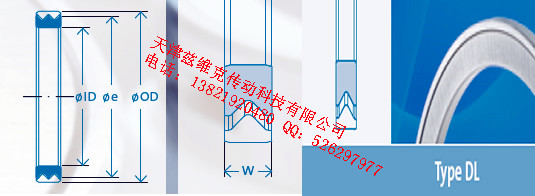 GMNDL50X62X4油封圖紙