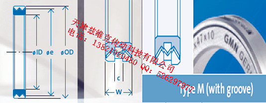 GMNM45X62X10油封圖紙